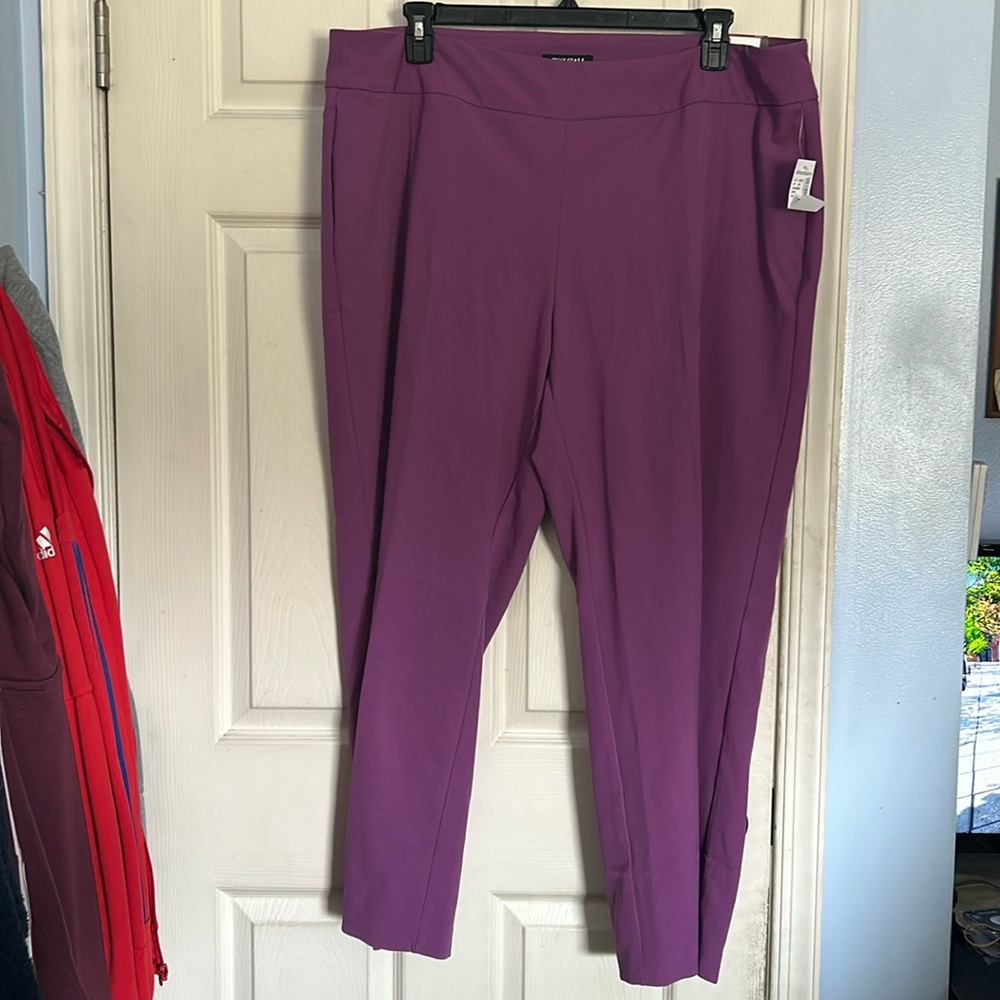 NWT Roz & Ali secret agent collection short trouser pants size 20W